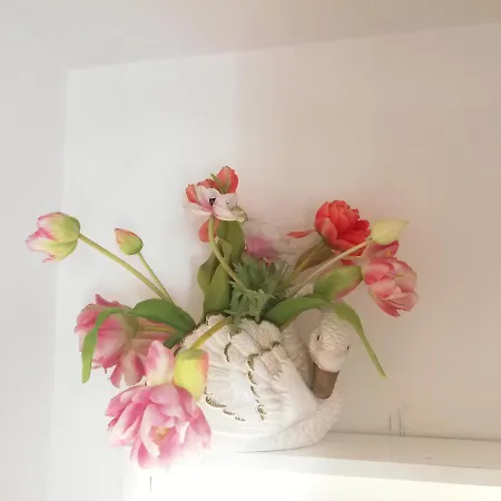 Ex La Bicocca - Via Umberto 15, Iun S1733 Alojamento de Acomodação e Pequeno-almoço Sorso